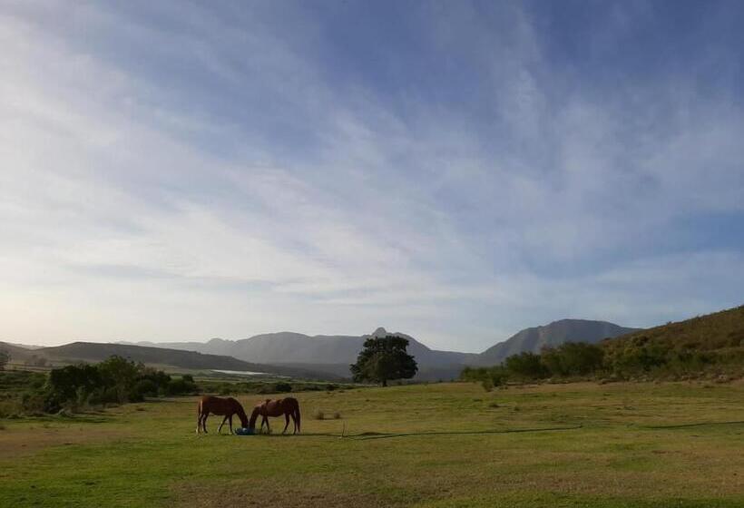 بنسيون Zeekoegat Historical Homestead