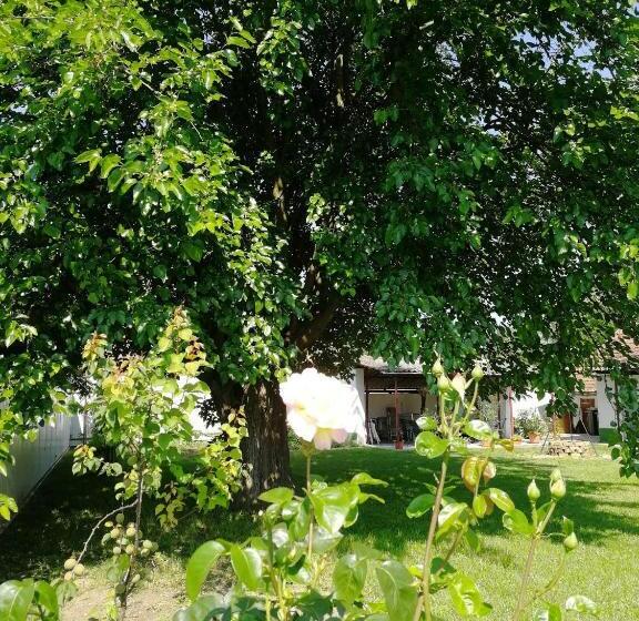 פנסיון Zsuzsanna Vendégház