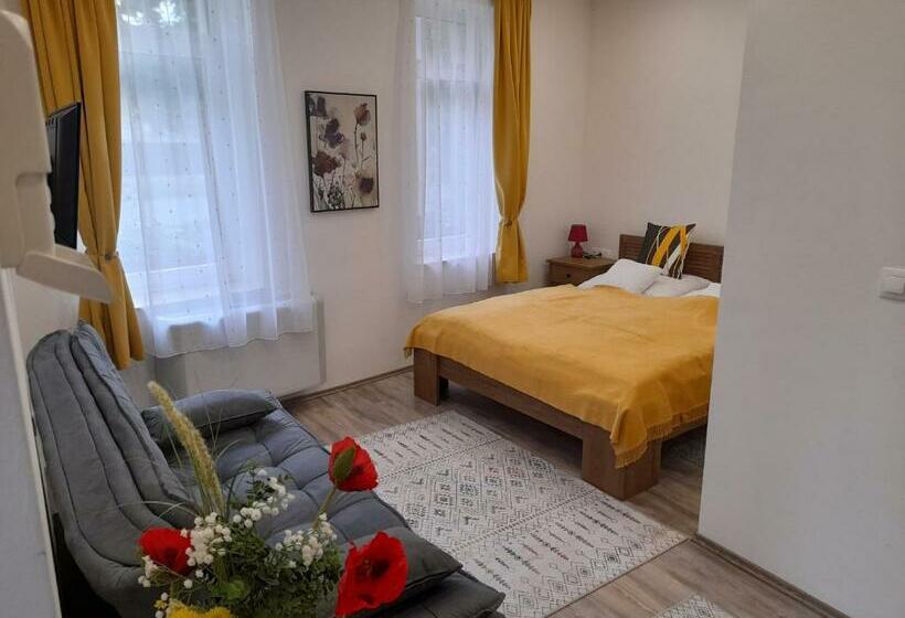 ベッドアンドブレックファースト Adamkó Borkert Ház