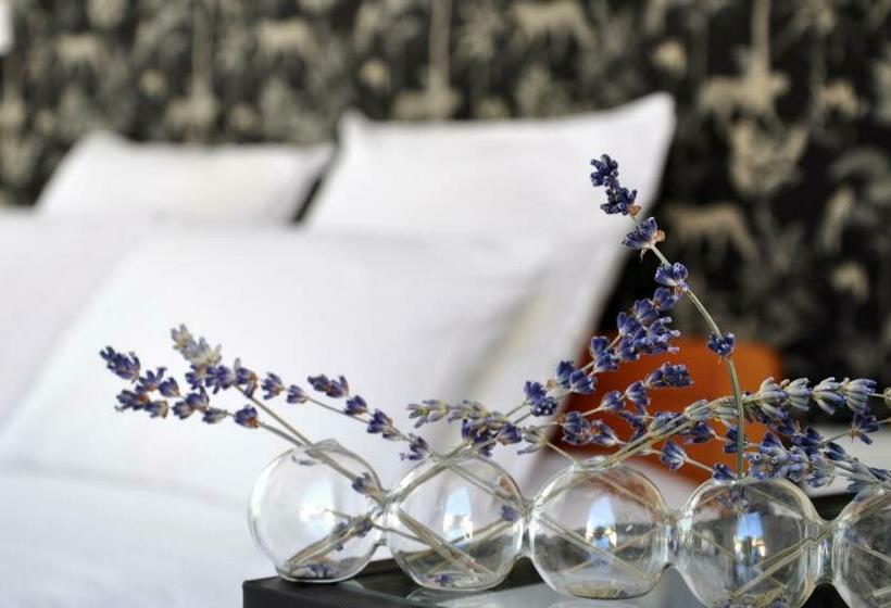 مبيت وإفطار Carré De Lune