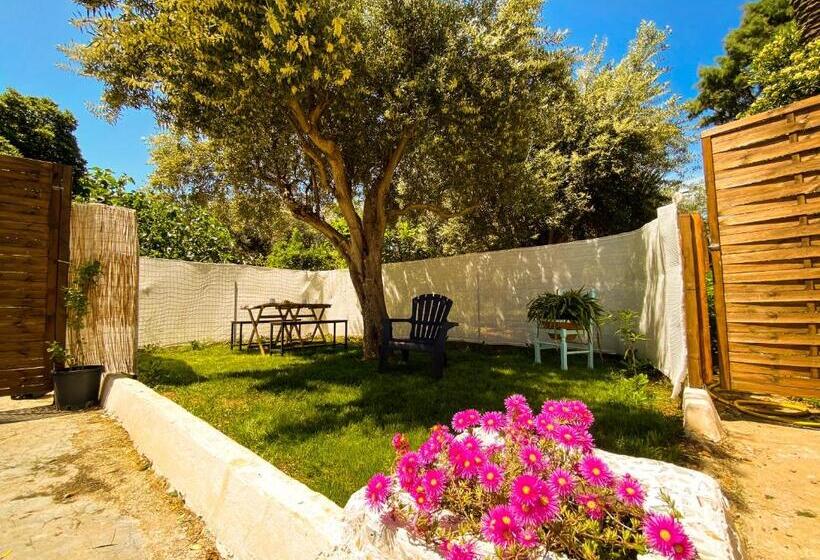 Bed and Breakfast Casa Vespucci