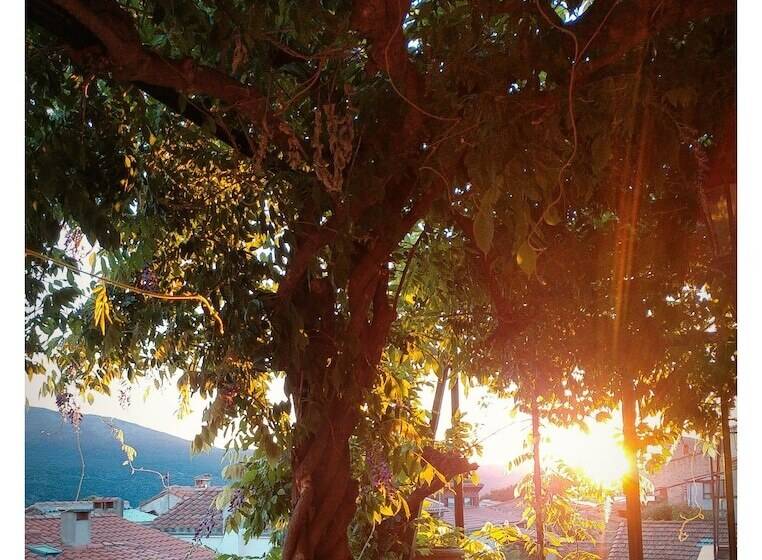 Bed and Breakfast La Belle Dame