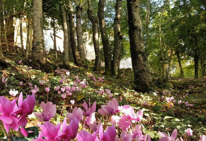 민박 La Meridiana House