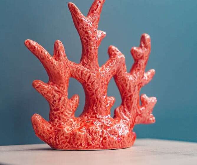 Bed and Breakfast Macchia Mediterranea