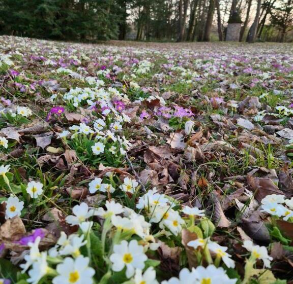 צימר Maison D Hôtes Au Cœur Des Lacs