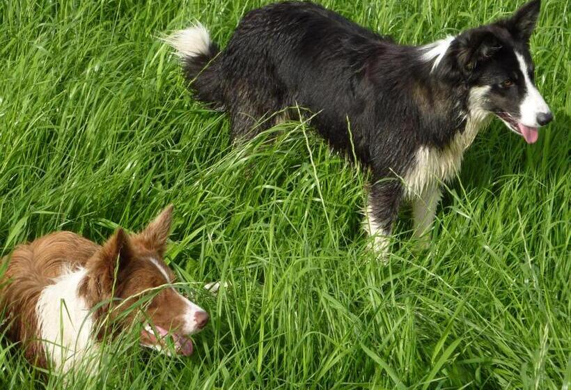 צימר Maison Fossemagne