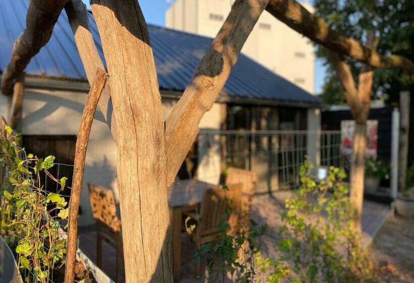 住宿加早餐  Vakantieverblijf Perron 3