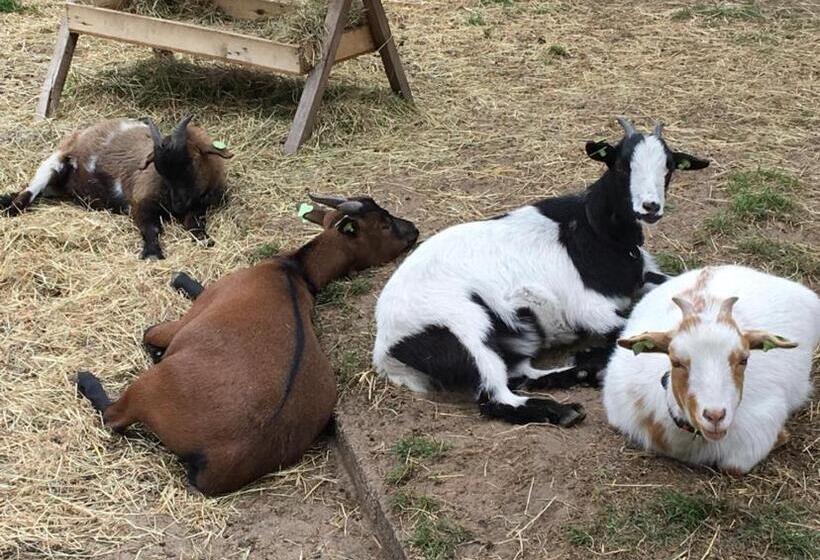 צימר Vakantieverblijf Perron 3