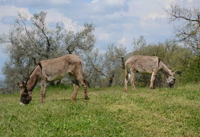 בית מלון כפרי Agriturismo La Lampada Di Atena