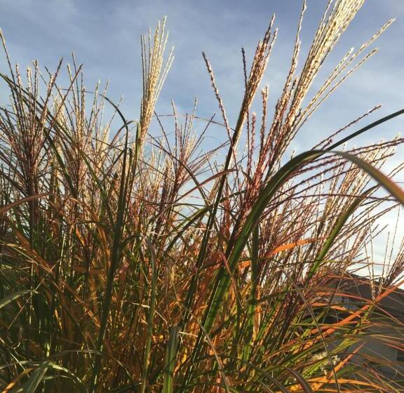 酒店 Heufelder Hof