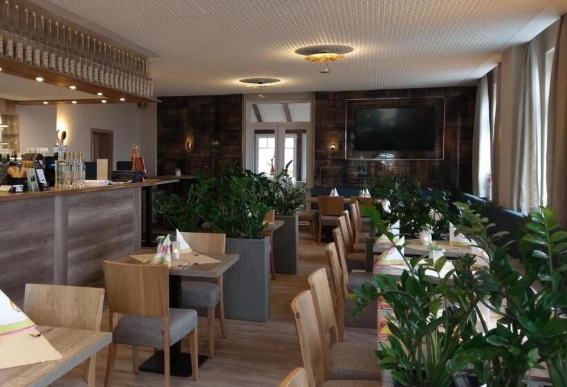 호텔 Pension Breitenborn