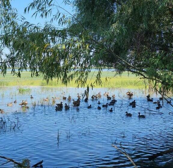 فندق Prestige House