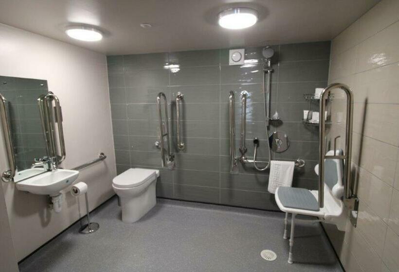 酒店 Rooms @ The Dolau Inn