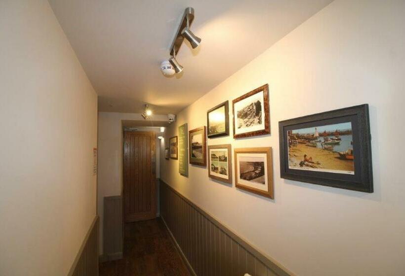 酒店 Rooms @ The Dolau Inn