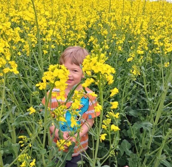 פנסיון Dorci Vendégház   A Piece Of Peace