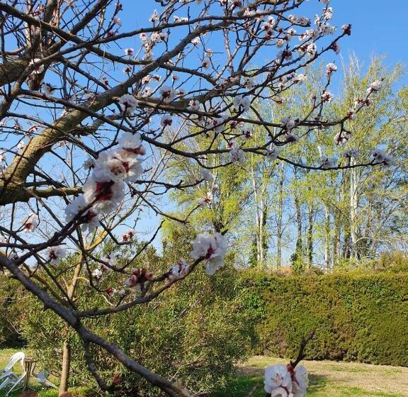 ペンション La Cabane Du Pesquier En Provence