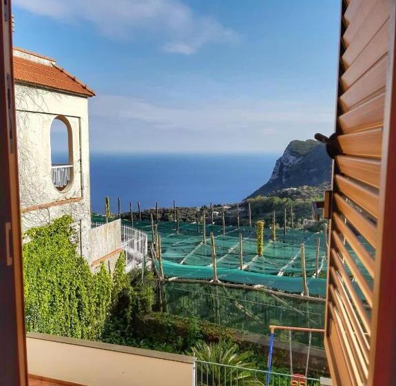 بنسيون Villa Mariel Suites & Apartment