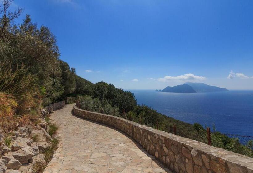 بنسيون Villa Mariel Suites & Apartment