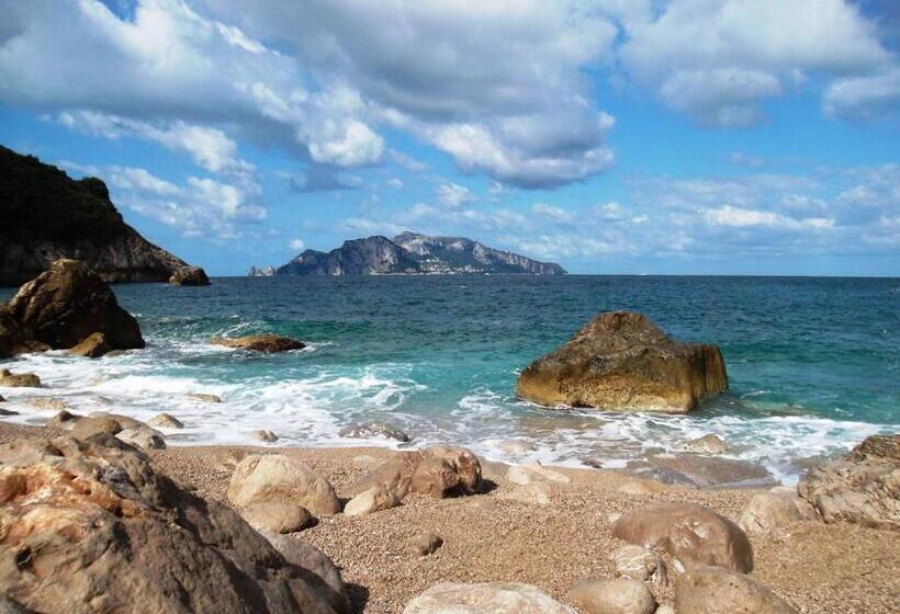 بنسيون Villa Mariel Suites & Apartment