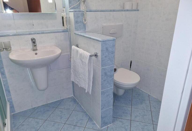 Ubytování Hanka V Hotelovém Pokoji C408 Top View