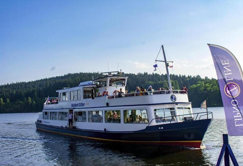 Ubytování Hanka V Hotelovém Pokoji C408 Top View