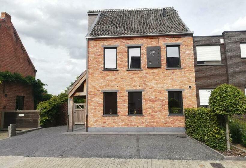 B&b Fagus