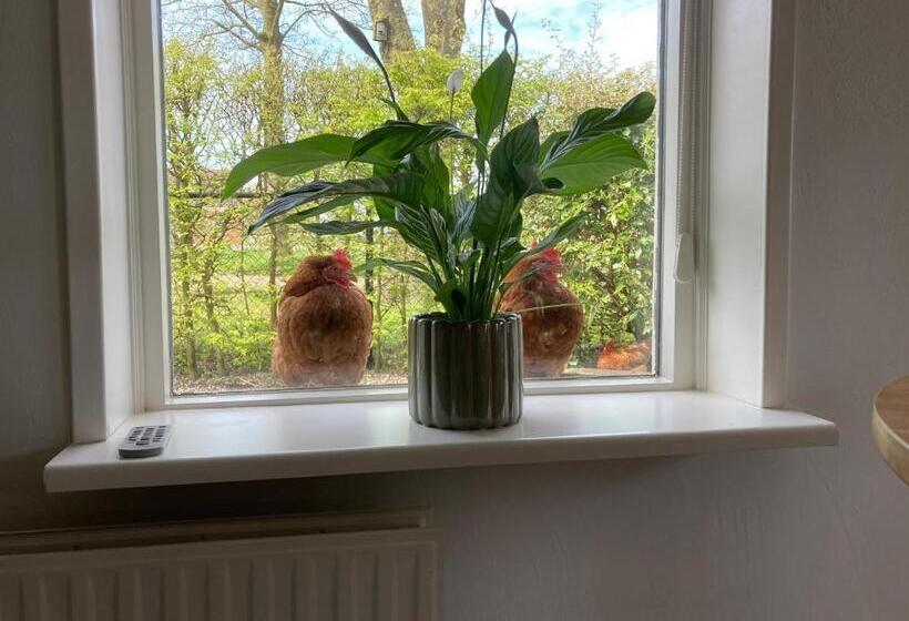 مبيت وإفطار Appartement Greidesicht Kollumerpomp