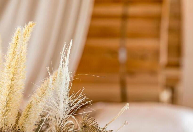 住宿加早餐 De Hoeveschuur