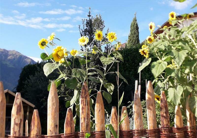 住宿加早餐  Haus Gassbauer