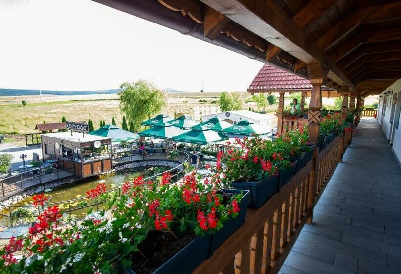 Bed and Breakfast Kotyogó Panzió