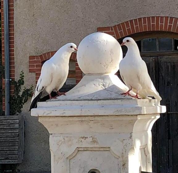 צימר Le Manoir De La Source