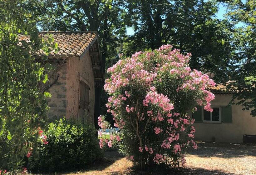 צימר Le Nid Des Corbières