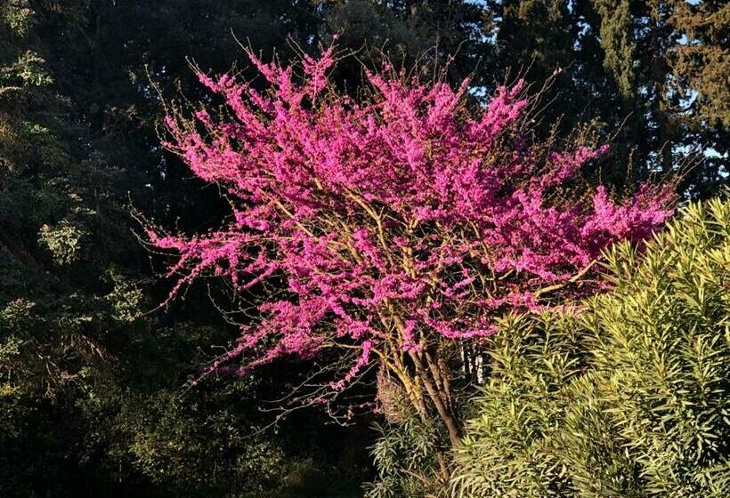 צימר Le Nid Des Corbières