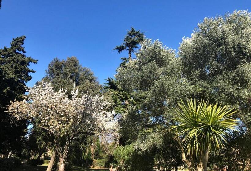 צימר Le Nid Des Corbières