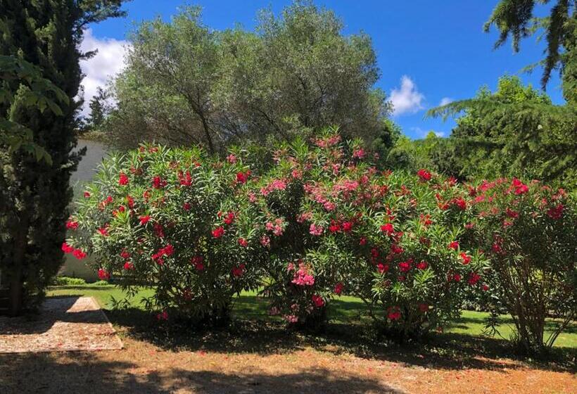 צימר Le Nid Des Corbières