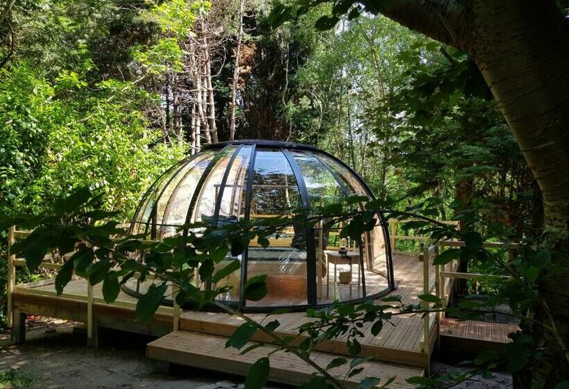 住宿加早餐  Le Refuge Des Echos   Dômes Insolites D Etretat