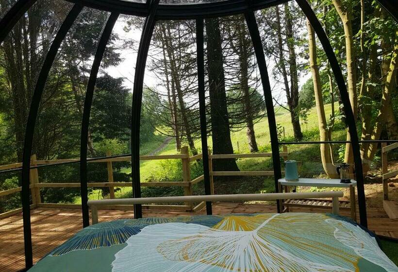 住宿加早餐  Le Refuge Des Echos   Dômes Insolites D Etretat