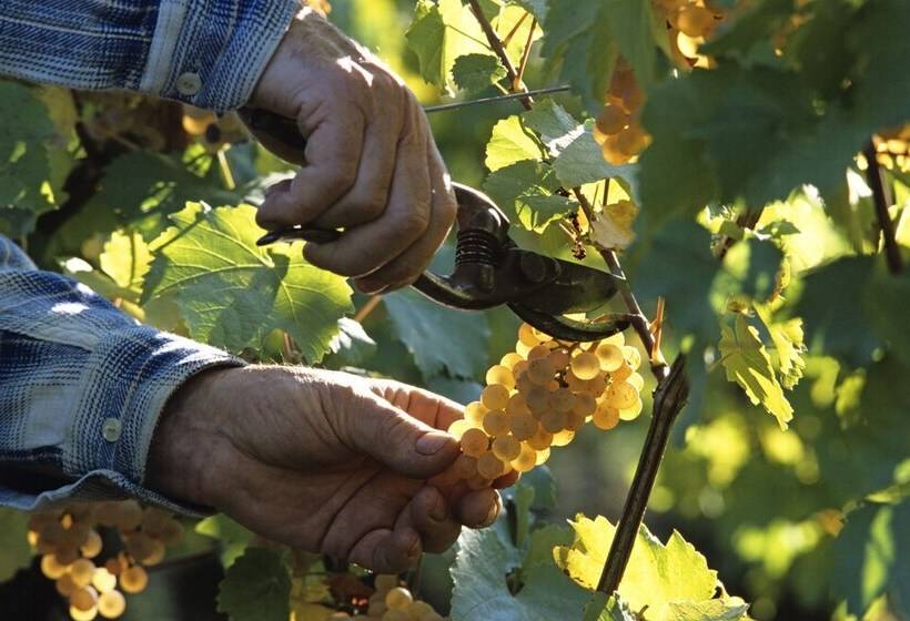 צימר Maison 1934 Bnb