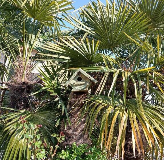 住宿加早餐  Riflessi D Arte