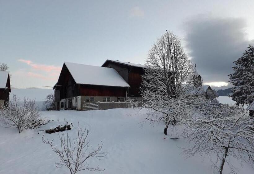 Отель Graslandhof