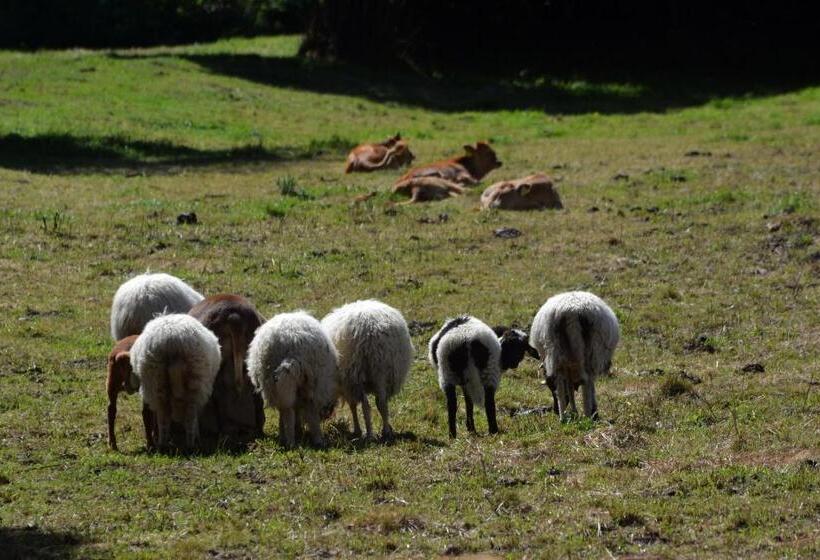 Отель Graslandhof