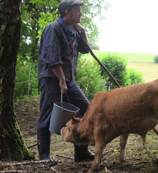 فندق Graslandhof