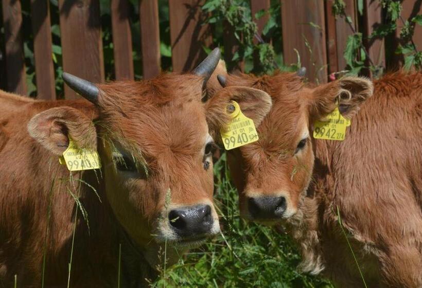 فندق Graslandhof