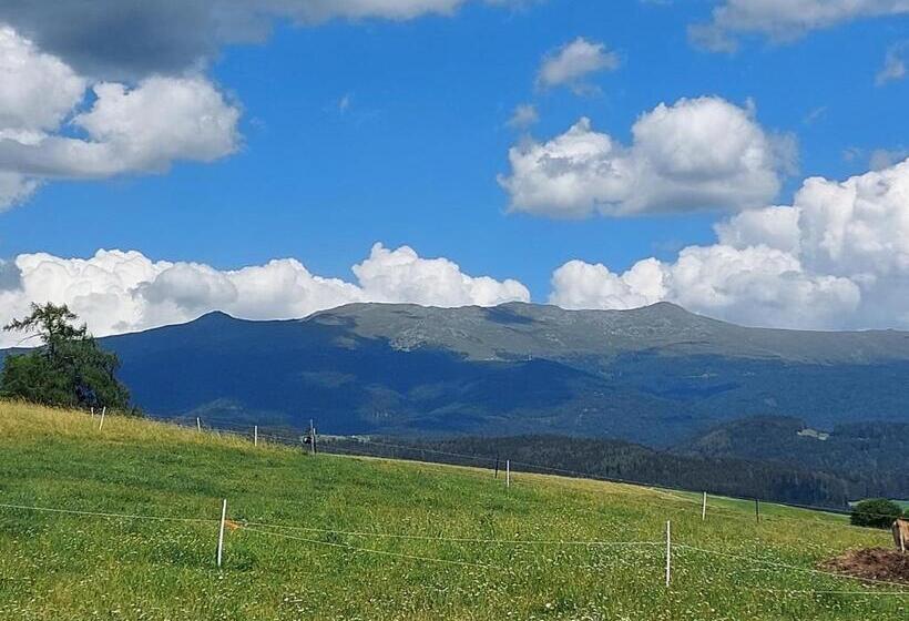 فندق Graslandhof