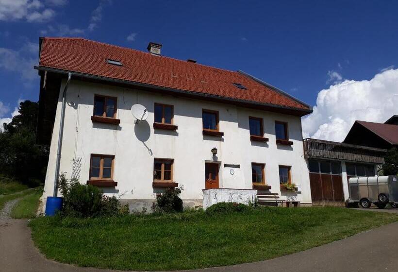 فندق Graslandhof