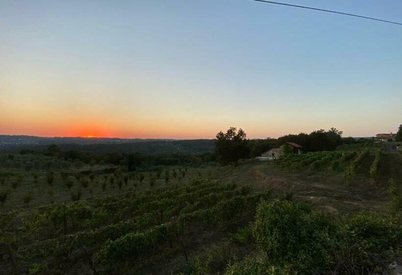 Отель Quinta Casa Do Retiro