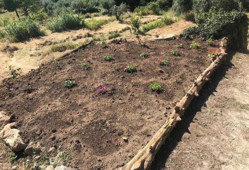 Отель Quinta Casa Do Retiro