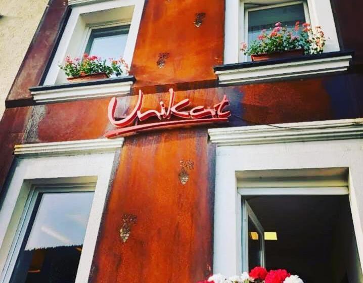 Отель Restaurant Unikat