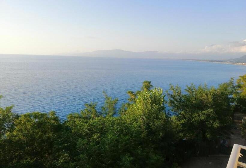 بنسيون Ellysblue