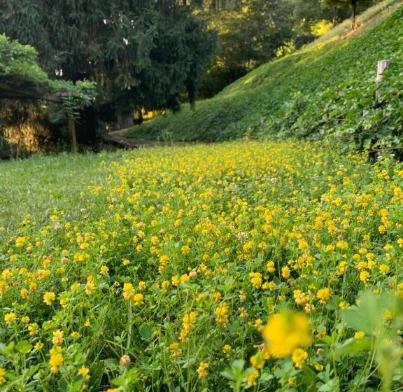 بنسيون Il Mulino Di Valeria